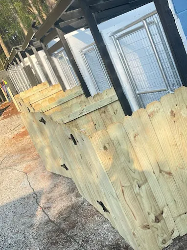 Deck & Fence Staining